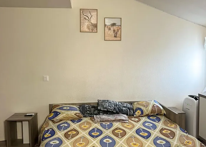 Location Centre * Toulouse